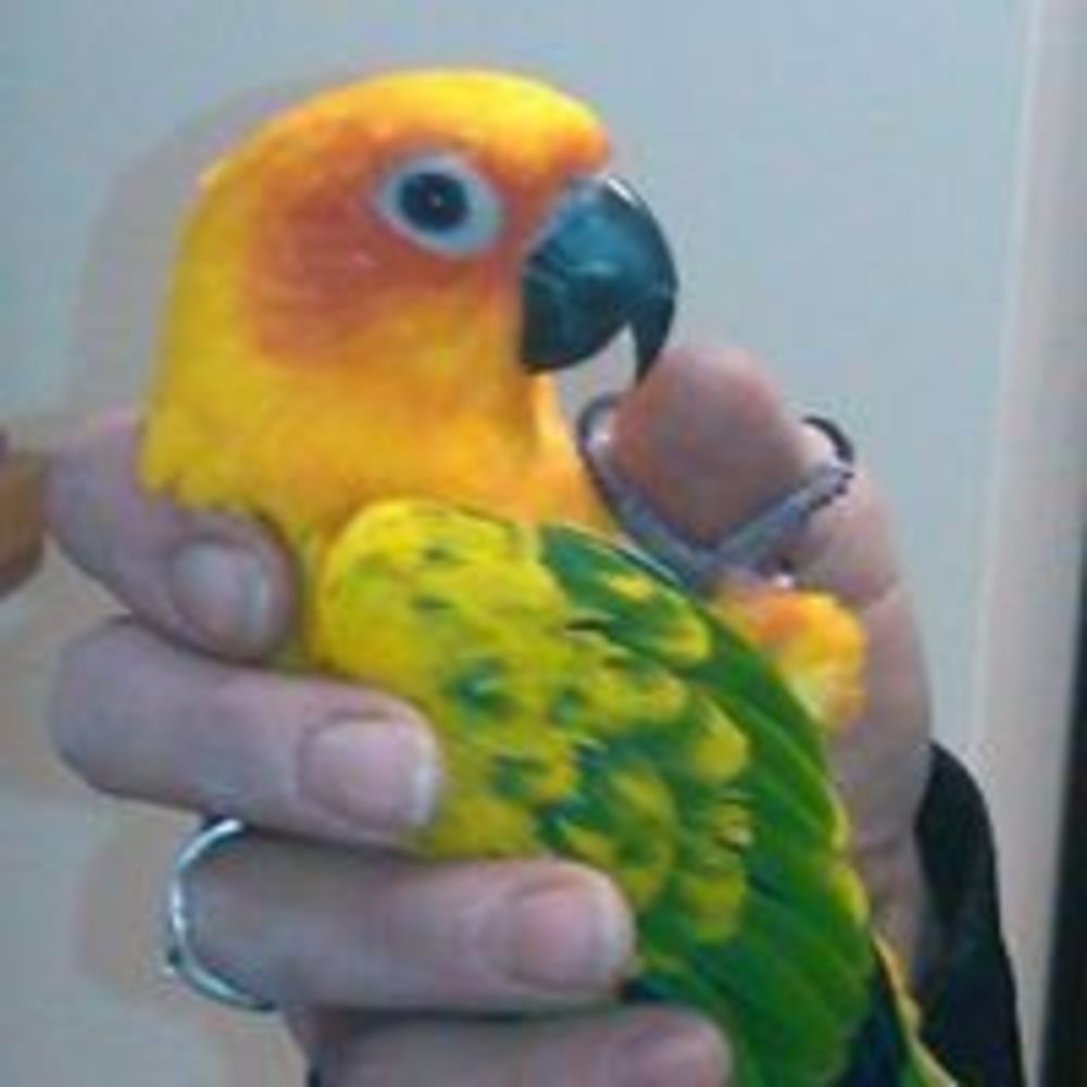 Meet your Posher, Kevin